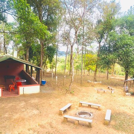 Shrenya Orchidz-Coorg Nature Stay Madikeri Exterior foto