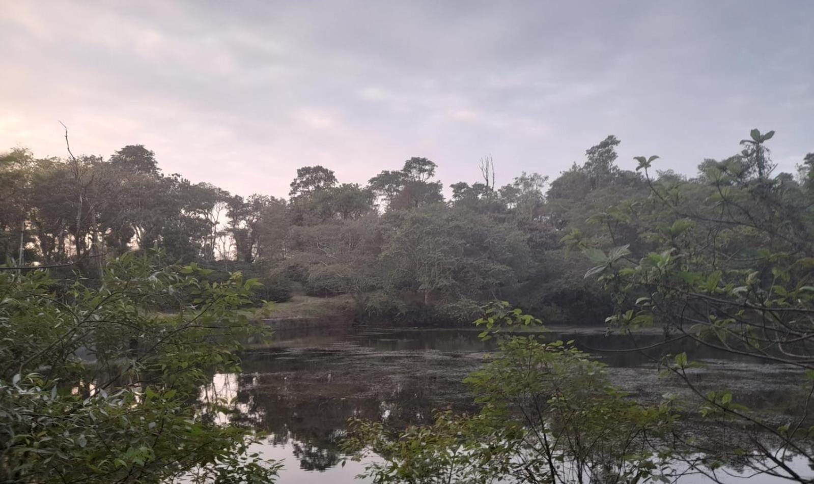 Shrenya Orchidz-Coorg Nature Stay Madikeri Exterior foto