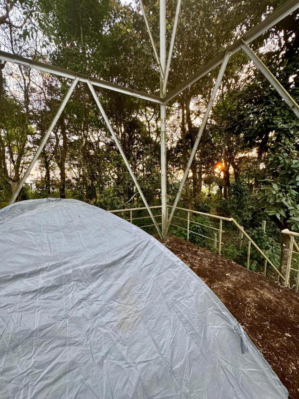 Shrenya Orchidz-Coorg Nature Stay Madikeri Exterior foto